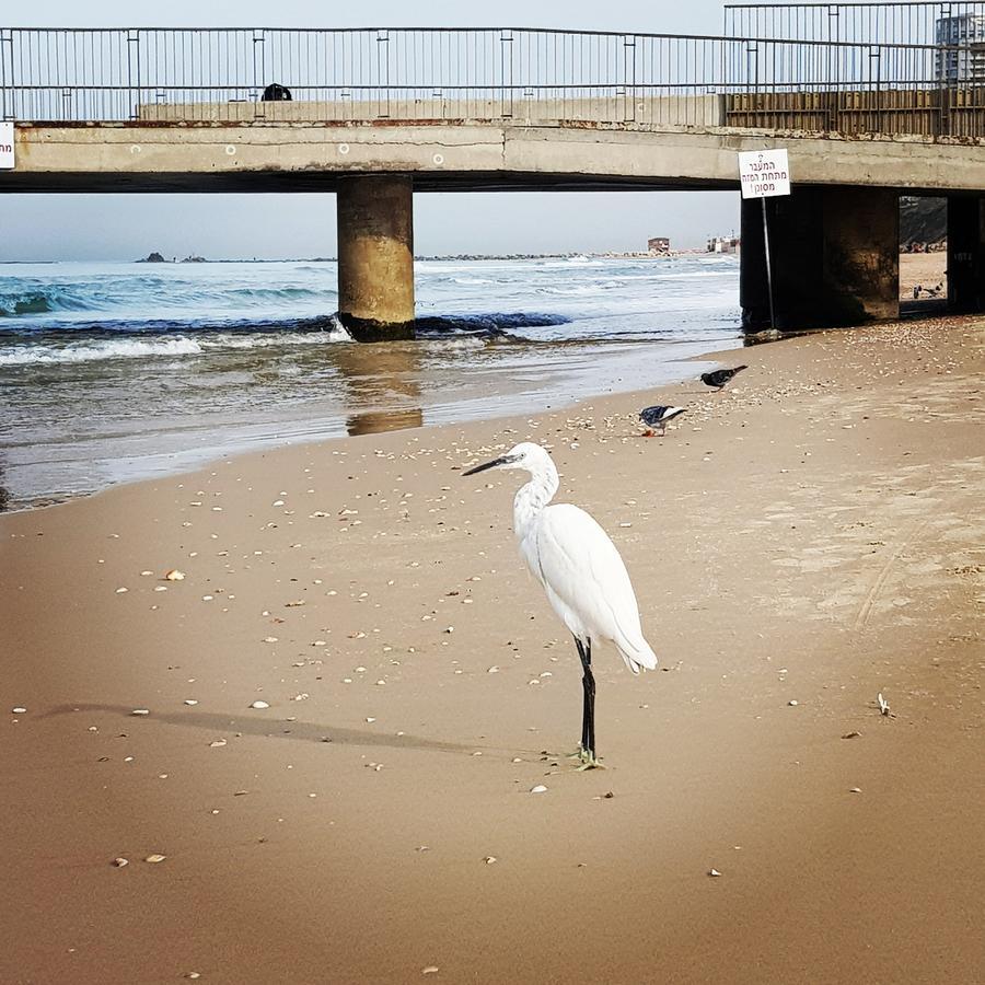 Appartement Sweet On The Beach
